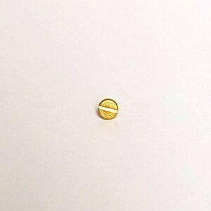 Replacement Screw for Charles Revson The Love Bracelet + Other Brands